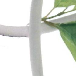 EXPOSICIÓN ITINERANTE