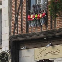 Biblioteca de Luynes
