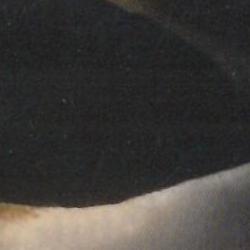 Carnaval 2017 Carnaval 2017