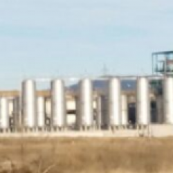Distiller Ólvega
