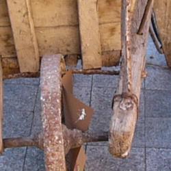 Jornadas Micológicas 2009