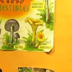 Jornadas Micológicas 2010