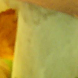 Jornadas Micológicas 2010