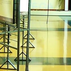 Jornadas Micológicas 2010