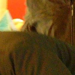 Jornadas Micológicas 2010