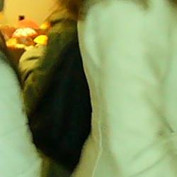 Jornadas Micológicas 2010