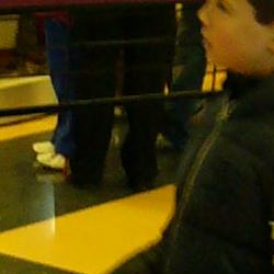 Jornadas Micológicas 2010