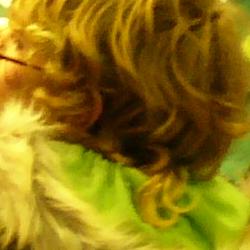 Jornadas Micológicas 2010