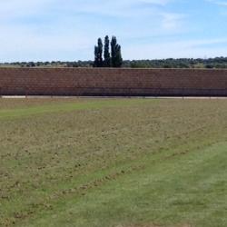 Tareas campo 4 Tareas campo 4