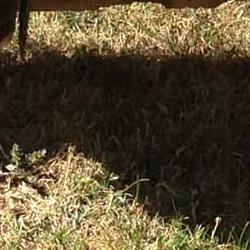 Verano infantil 2016 2 Verano infantil 2016 2