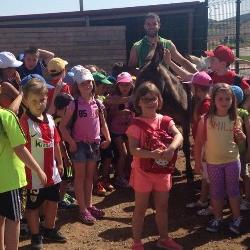 Verano infantil 2016 7 Verano infantil 2016 7